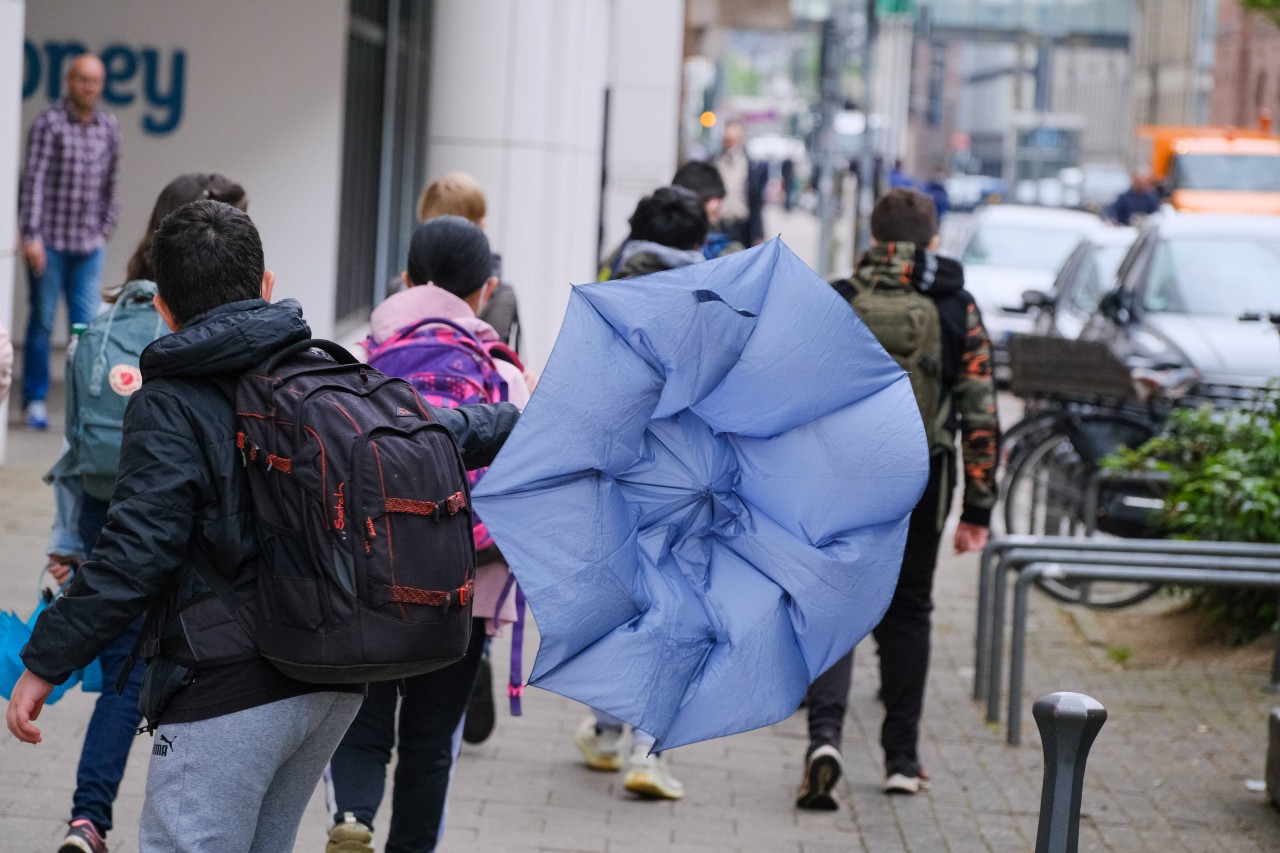 Experten rechnen mit stürmischem Wetter in NRW. Regenschirme haben womöglich das Nachsehen. (Symbolbild)