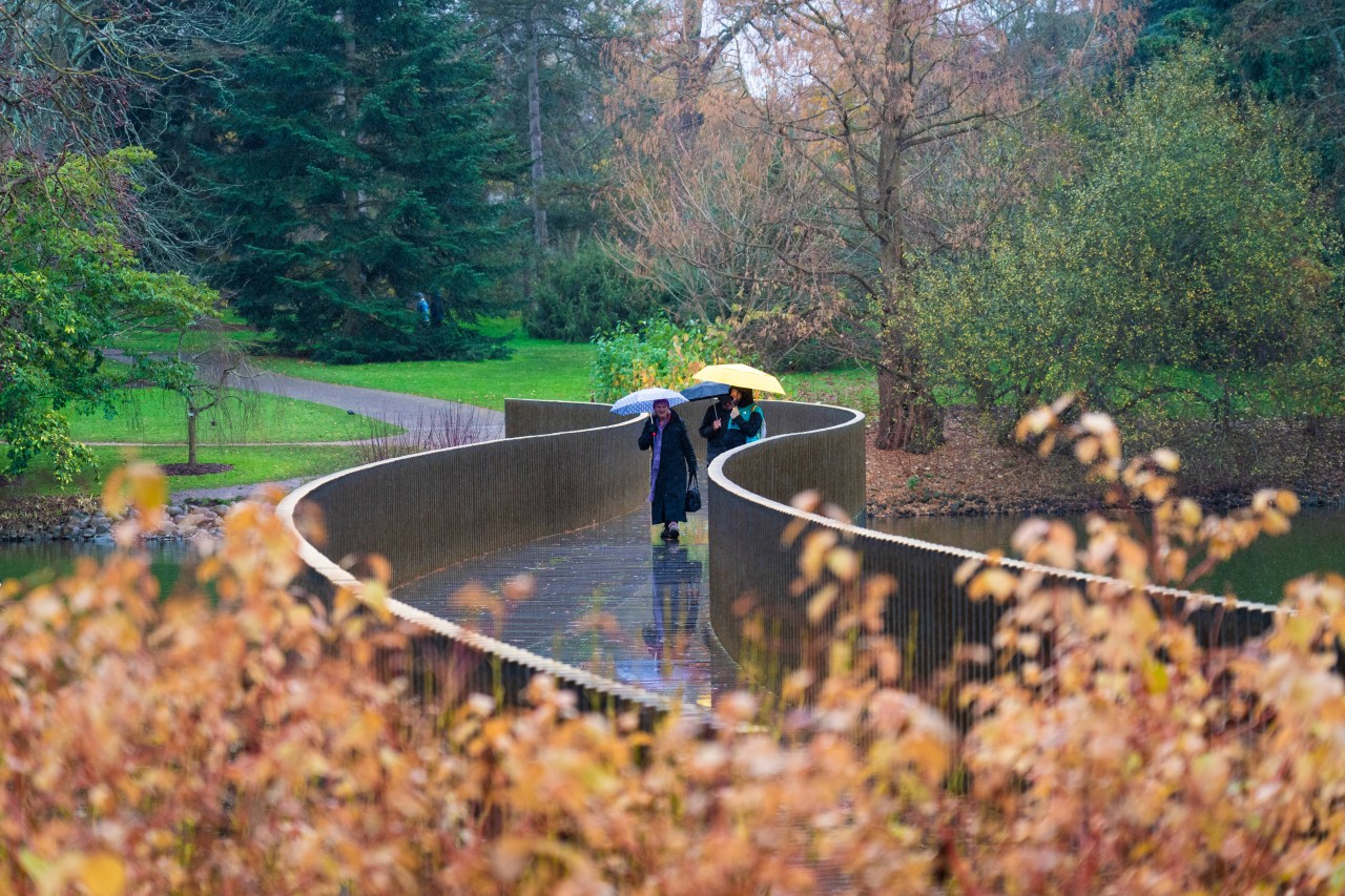 Wetter in NRW: Der November zeigt sich aktuell von seiner besonders grauen Seite. Nieselregen fällt fast jeden Tag. (Symbolbild)