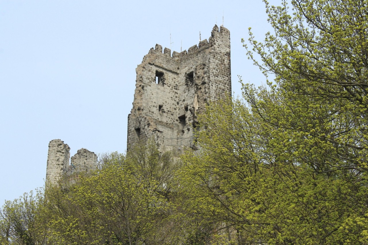 Erhebt sich wie ein hohler Zahn über dem Gipfel: die Ruine der Burg Drachenfels.