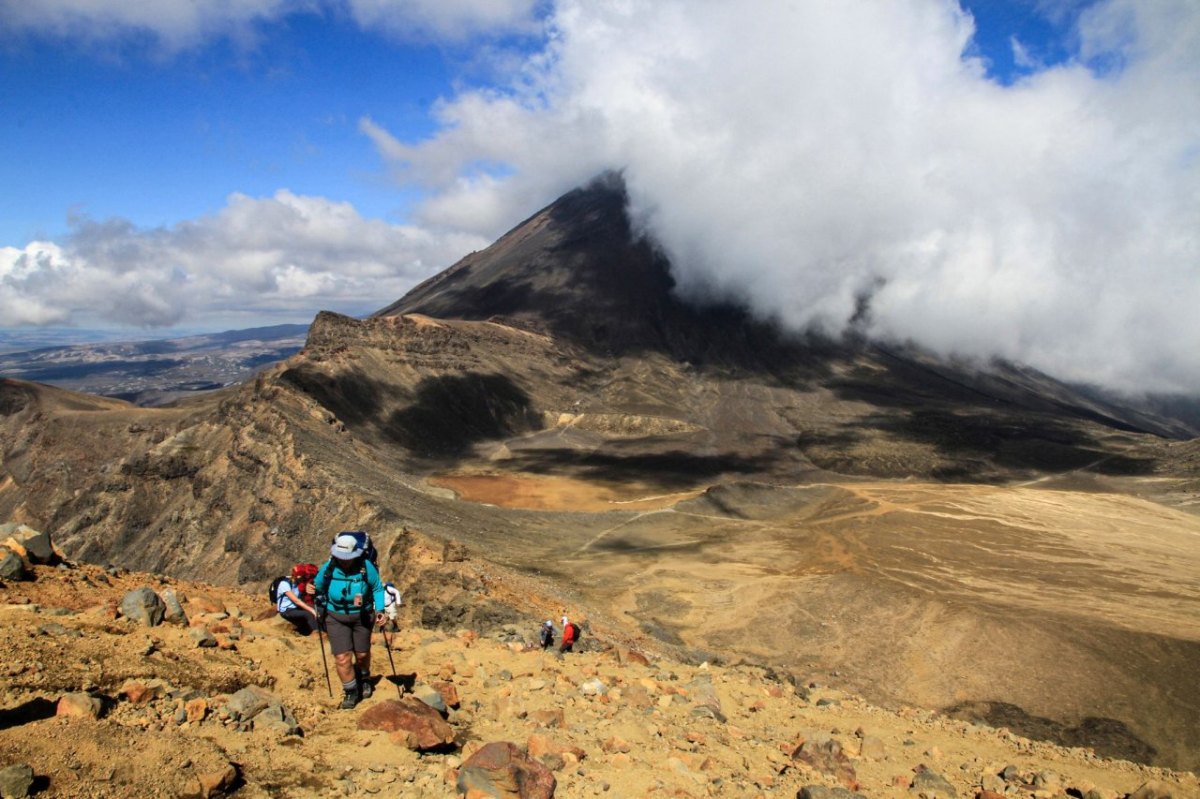 Neuseelands Traumwanderweg
