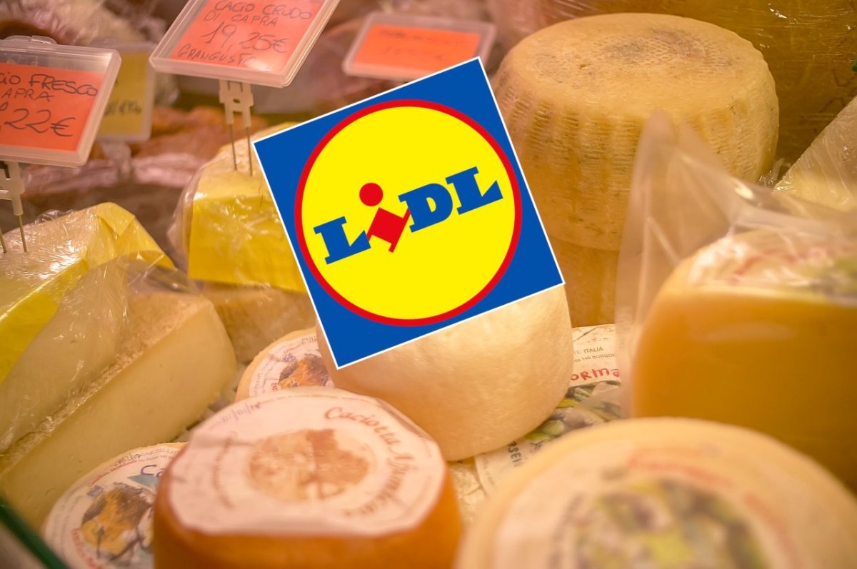 lidl käse.jpg