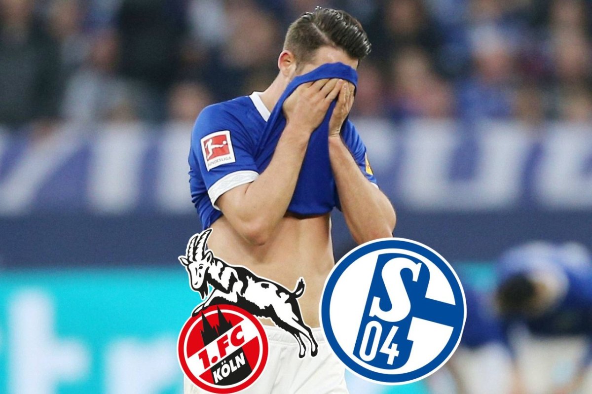 1. FC Köln Schalke 04.jpg