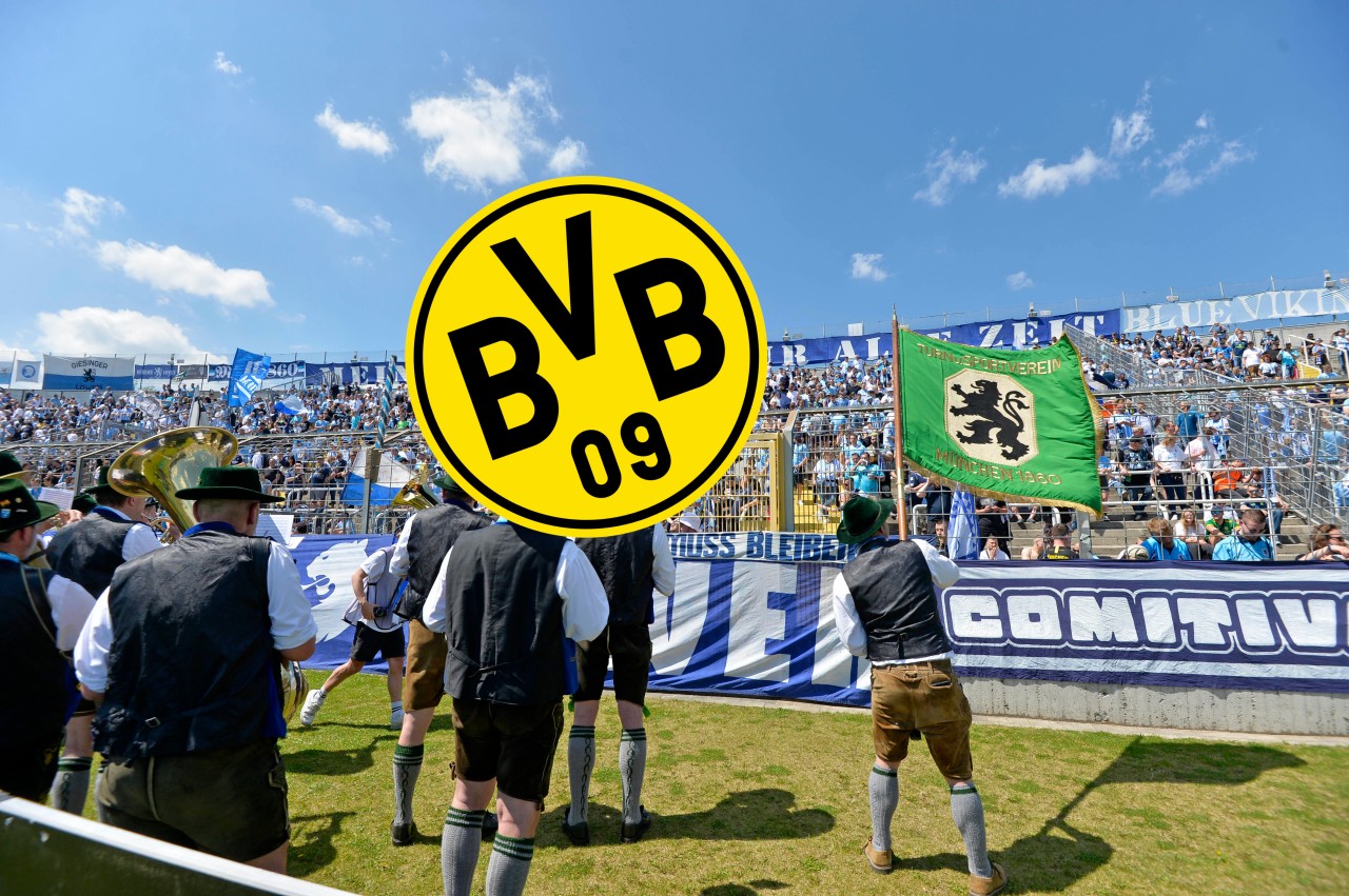 1860 München - Borussia Dortmund: In der 1. Runde des DFB-Pokals muss der BVB bei den Löwen ran. 1860 München - Borussia Dortmund: In der 1. Runde des DFB-Pokals muss der BVB bei den Löwen ran.