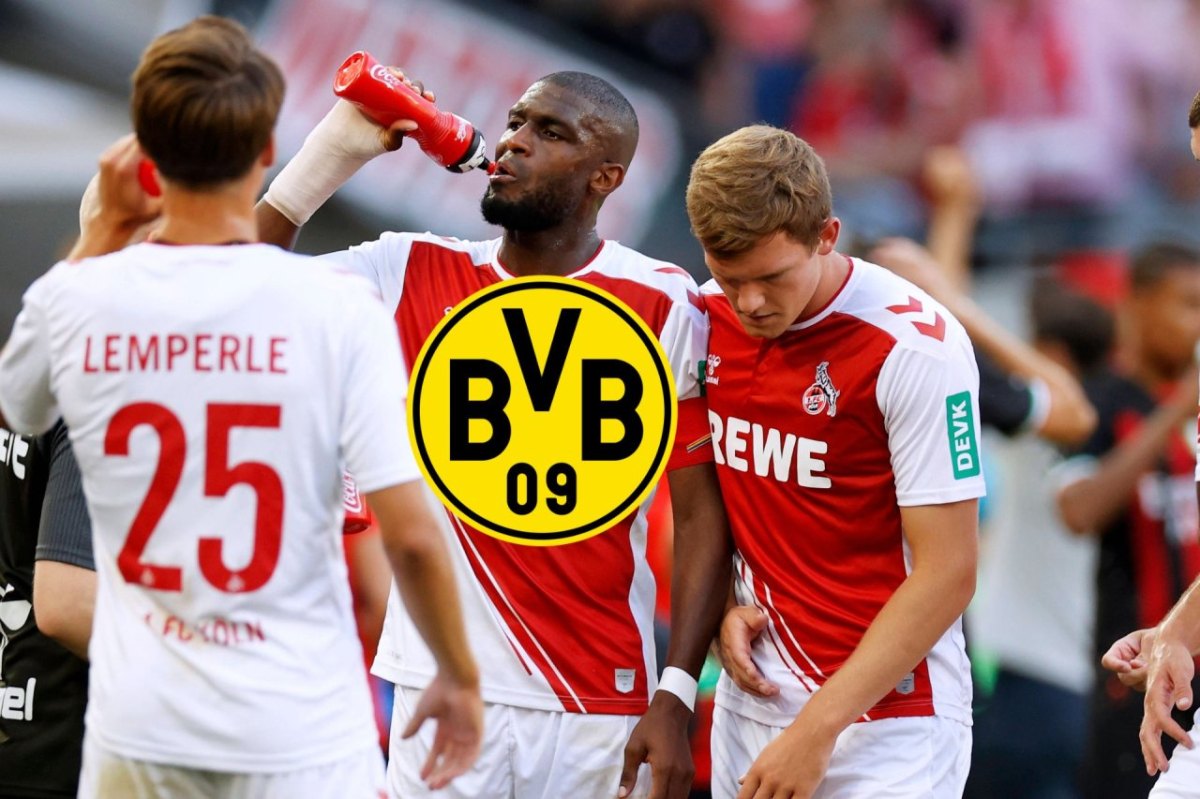 Borussia Dortmund Modeste (1).jpg