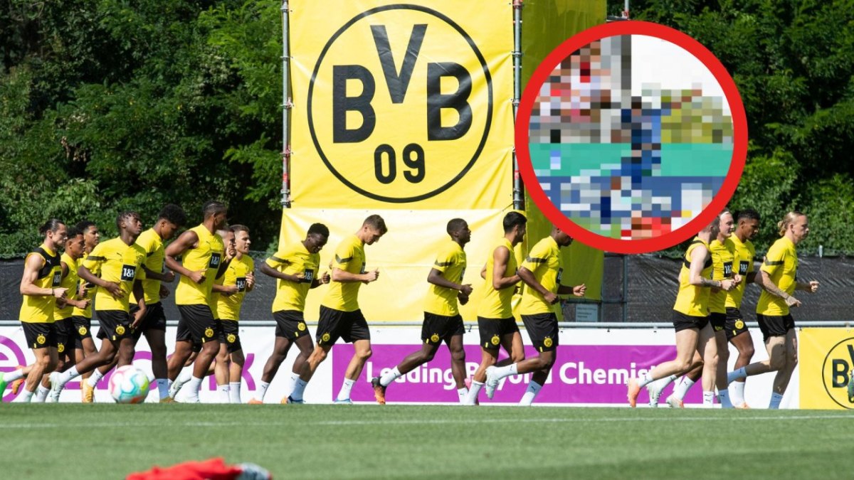 Borussia Dortmund Modeste.jpg