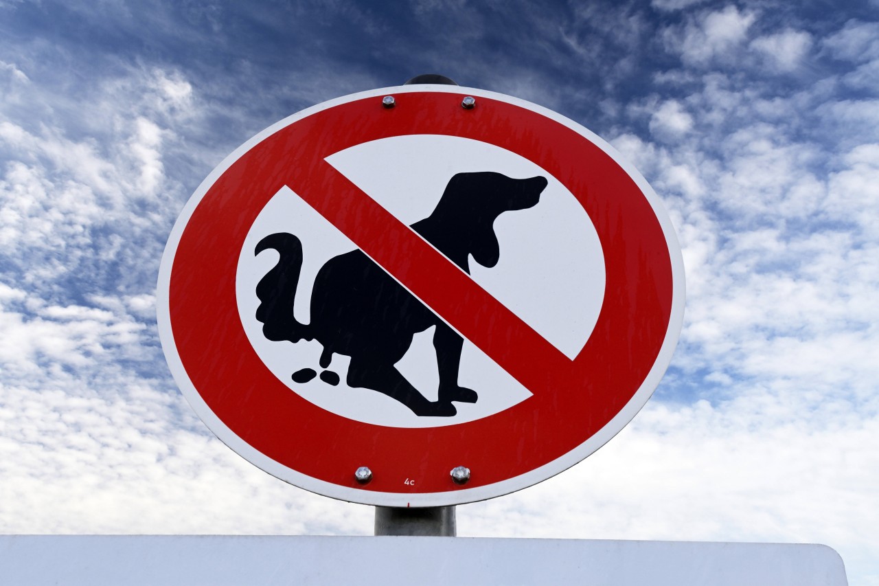 Essen: Eine Anwohnerin hat eine unglaublich widerliche Entdeckung auf ihrer Einfahrt machen müssen. (Symbolfoto) Essen: Eine Anwohnerin hat eine unglaublich widerliche Entdeckung auf ihrer Einfahrt machen müssen. (Symbolfoto)