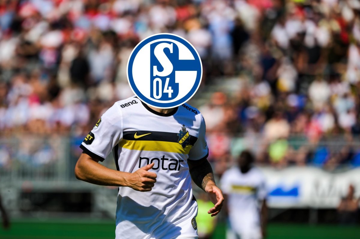 FC Schalke 04 Larsson