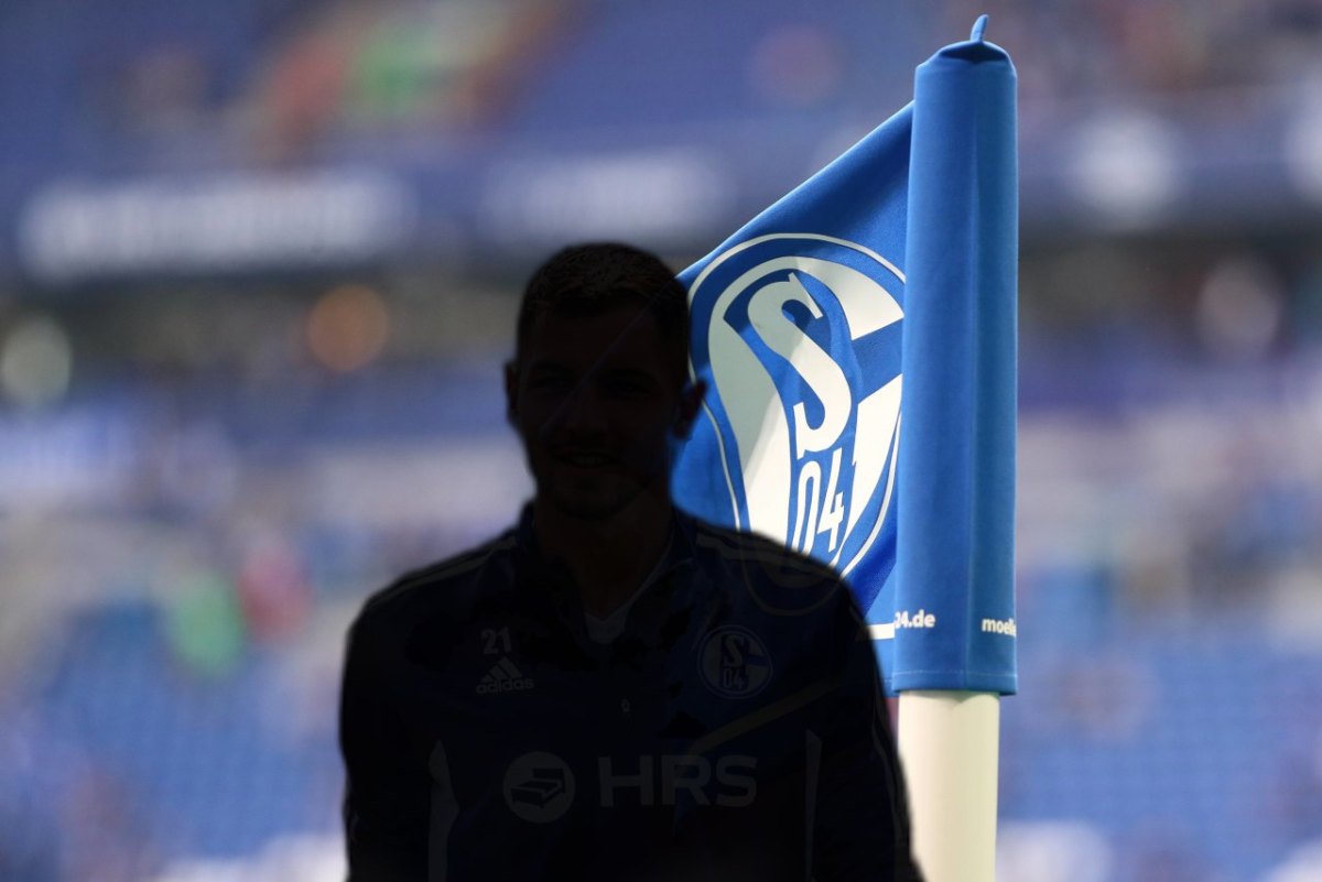 FC Schalke 04 Pieriniger.jpg