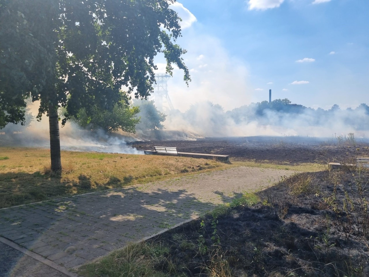 In einem Park in Gelsenkirchen-Bismarck musste am Montag (8. August) die Feuerwehr wegen eines Großbrandes ausrücken. (Symbolbild) In einem Park in Gelsenkirchen-Bismarck musste am Montag (8. August) die Feuerwehr wegen eines Großbrandes ausrücken. (Symbolbild)