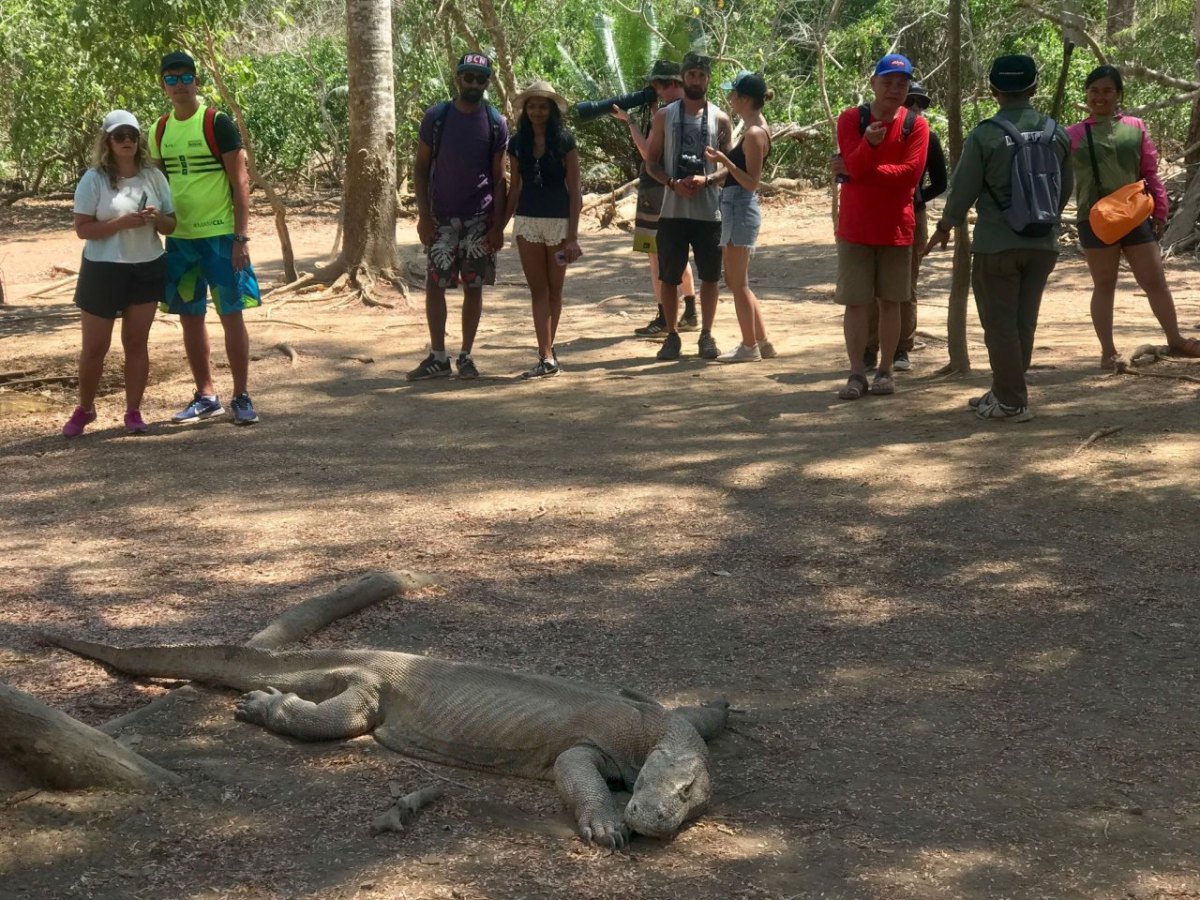 Insel Komodo