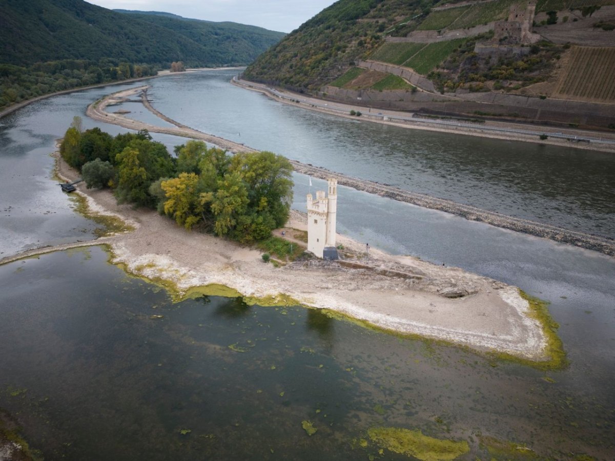 Niedrigwasser: Was gilt bei geänderten Flusskreuzfahrt-Routen?
