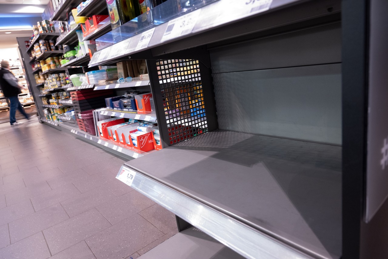 Bei Rewe, Edeka und Co. drohen neue Engpässe für Tierliebhaber. (Symbolbild)