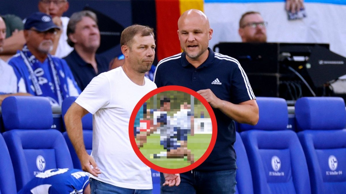 Schalke Greiml.jpg