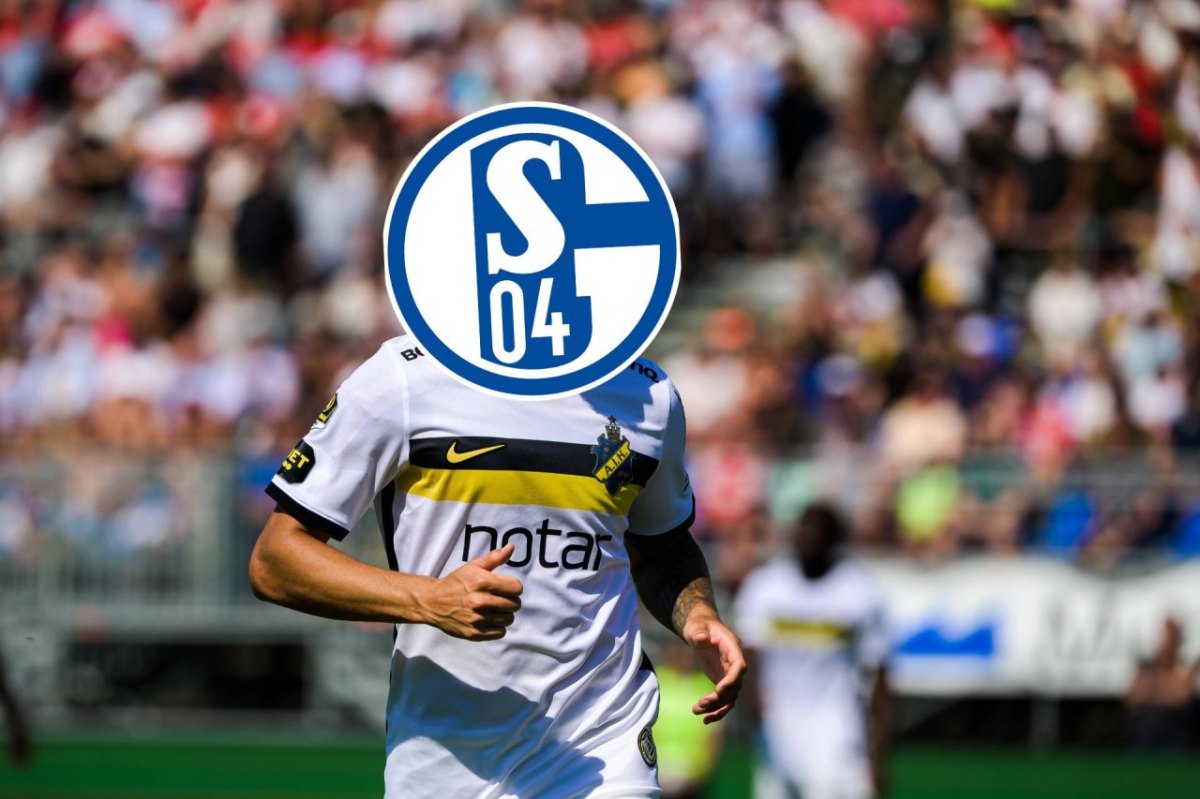 Schalke Larsson.jpg