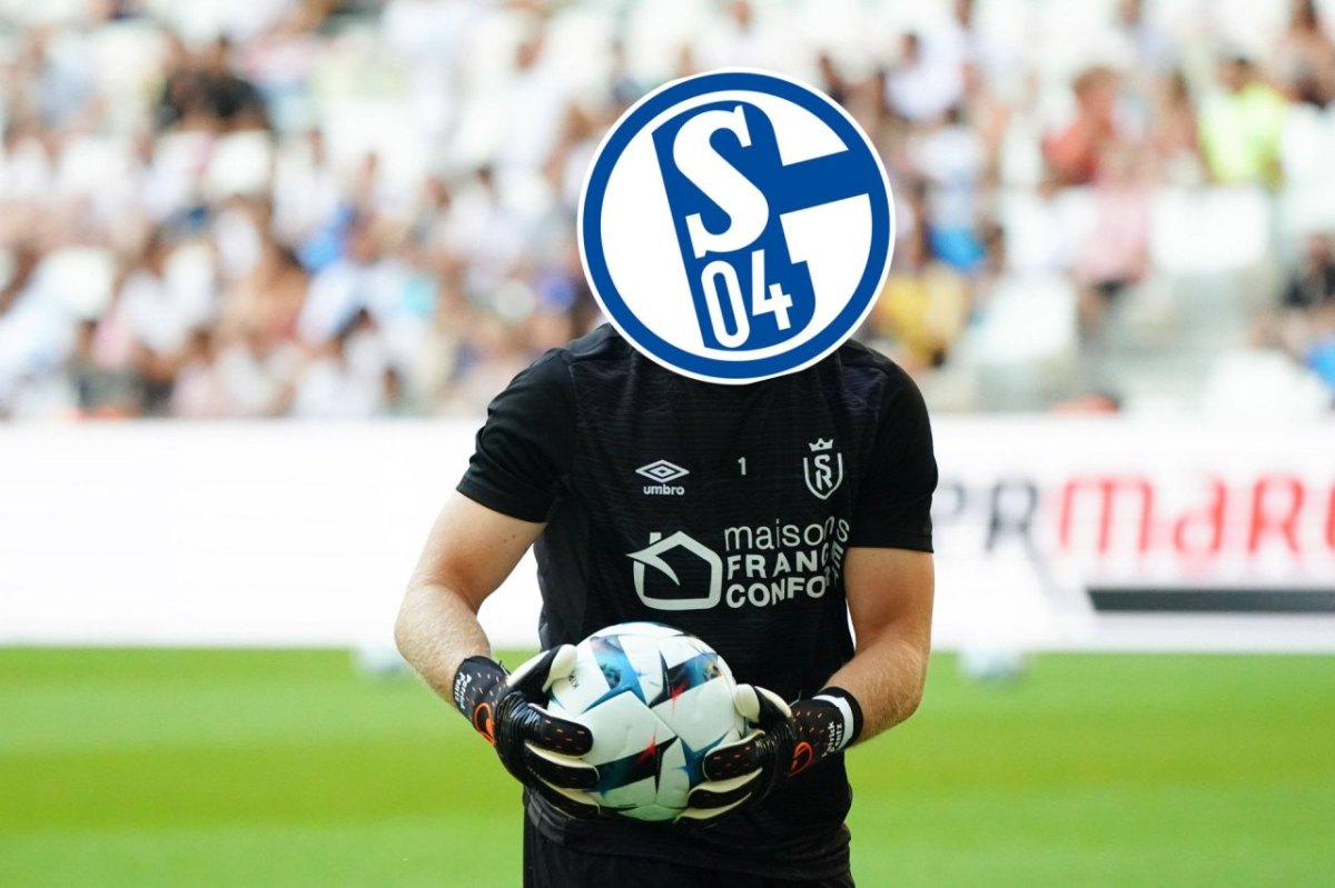 Schalke Pentz.jpg