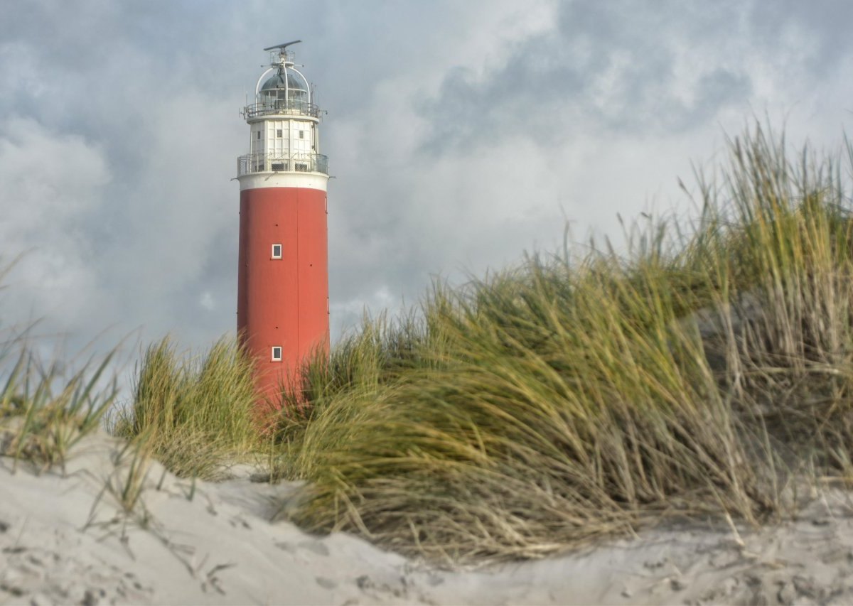 Texel-Insel-Niederlande.jpg