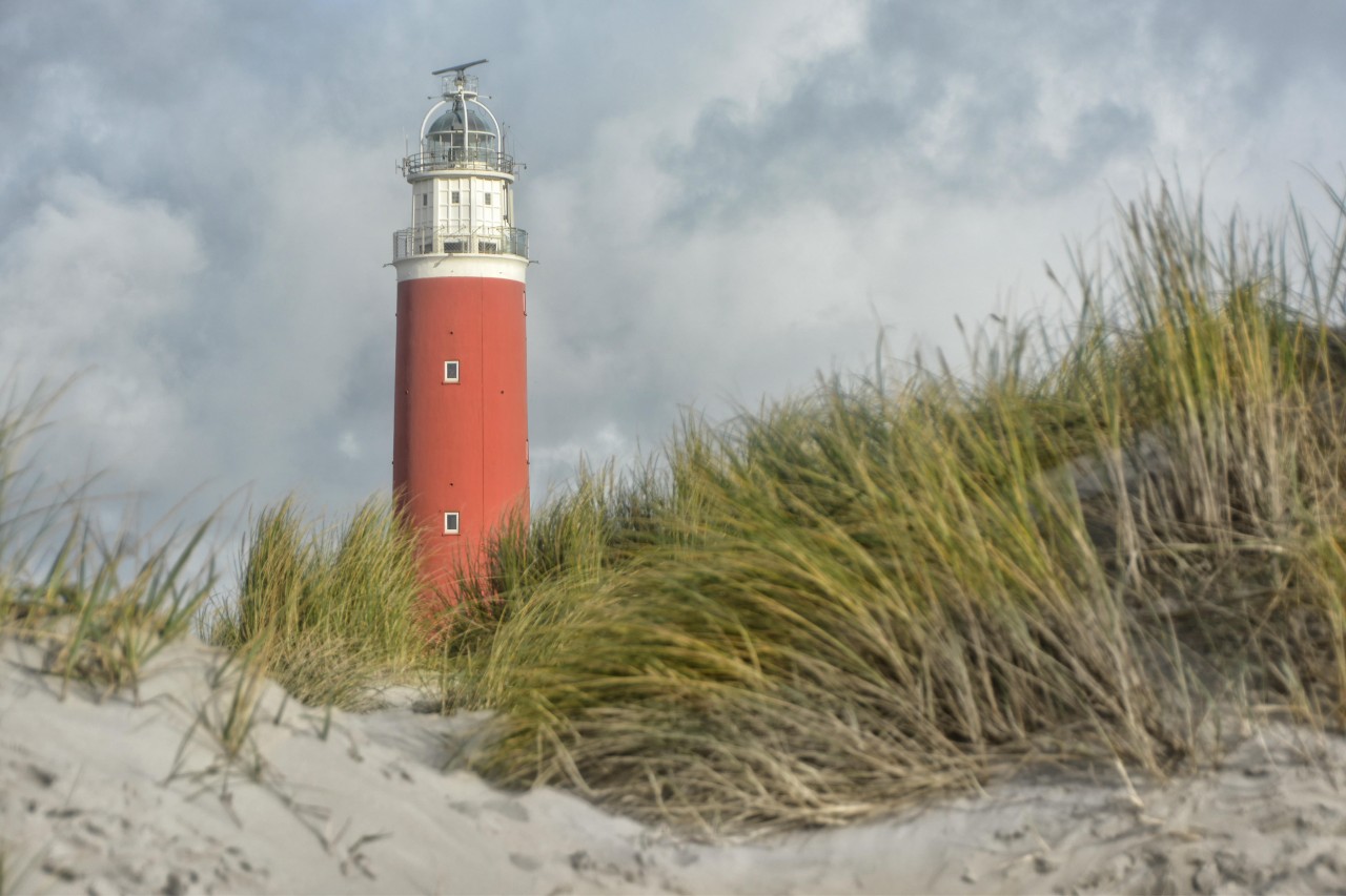 Touristen berichten von einer Ekel-Plage auf Texel.