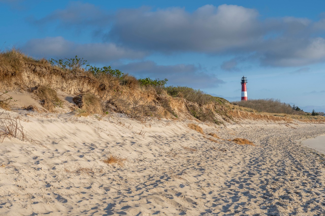 Viele Touristen wollen in Sylt einen entspannten Urlaub an der Nordsee verbringen. Doch Aktivisten, die es seit der Einführung des 9-Euro-Tickets auf die Insel zieht, haben sie stark zum Negativen verändert. (Symbolbild) Viele Touristen wollen in Sylt einen entspannten Urlaub an der Nordsee verbringen. Doch Aktivisten, die es seit der Einführung des 9-Euro-Tickets auf die Insel zieht, haben sie stark zum Negativen verändert. (Symbolbild)
