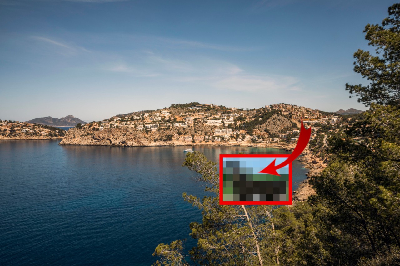 Urlaub auf Mallorca: Diese Plage auf der Insel treibt Anwohner jetzt in den Wahnsinn. (Symbolbild)
