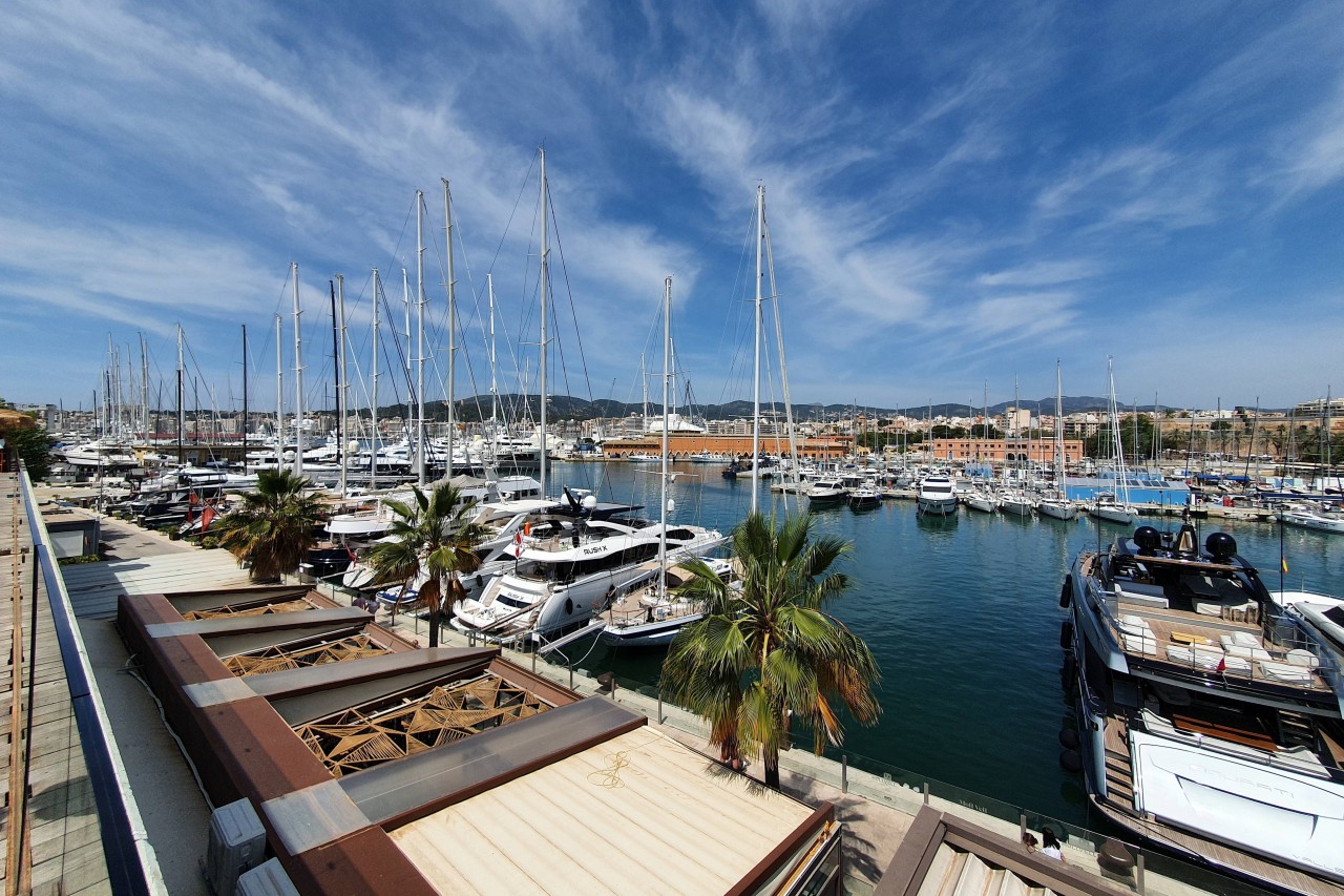 Urlaub auf Mallorca: Schock-Fund im Hafen von Palma de Mallorca! (Symbolbild)