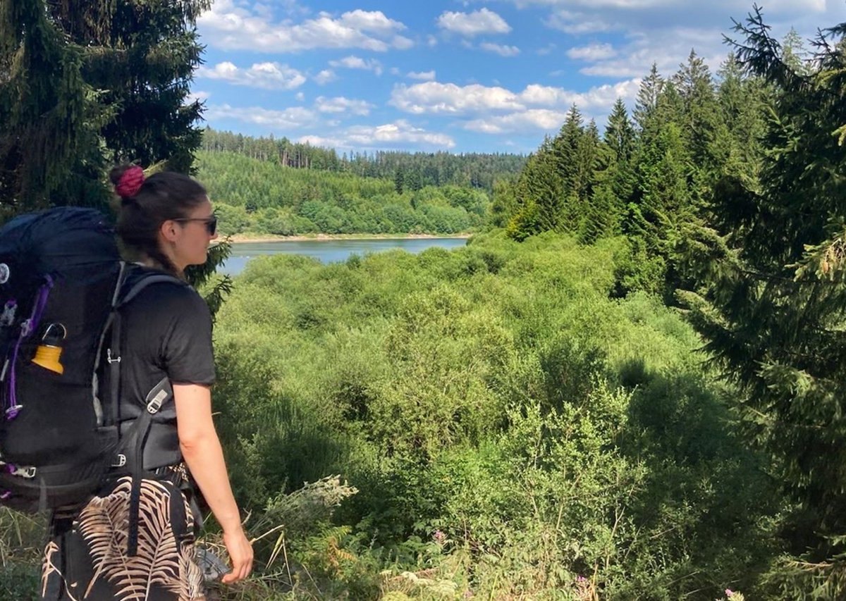 Vollgepackt im Wald