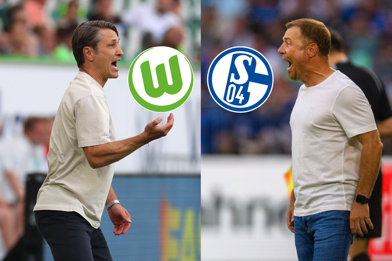 Am Wochenende stehen sich VfL Wolfsburg und der FC Schalke 04 gegenüber.