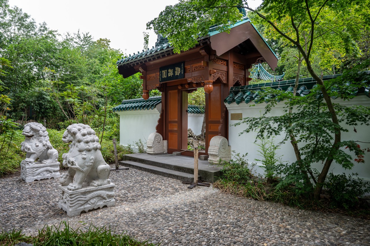 Im Zoo Duisburg erstrahlt der Chinesische Garten in neuem Glanz.