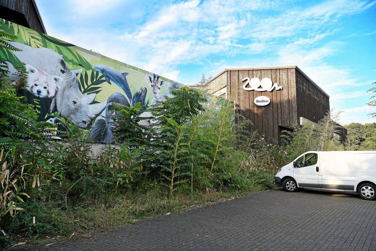 Der Zoo Duisburg steht vor einer Zwölf-Millionen-Euro-Investition. (Symbolfoto)