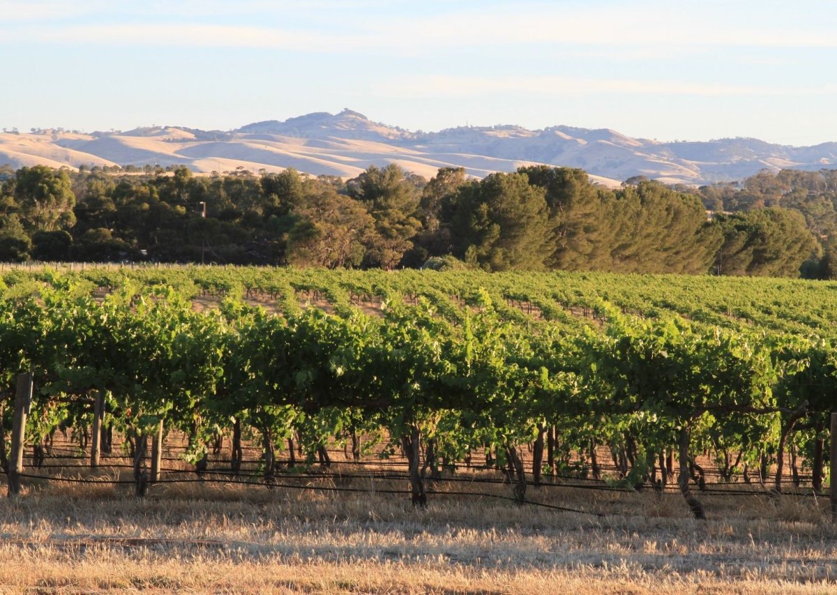 Barossa Valley