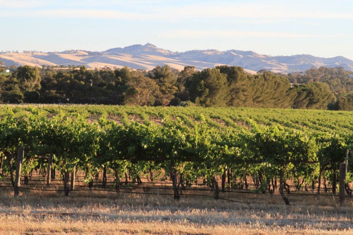 Barossa Valley