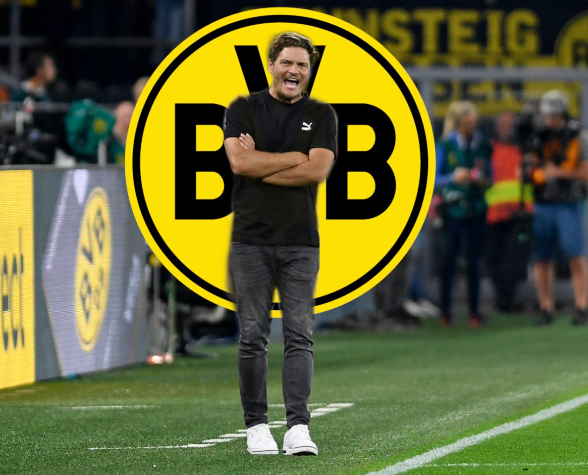 Borussia Dortmund Terzic TSG.jpg