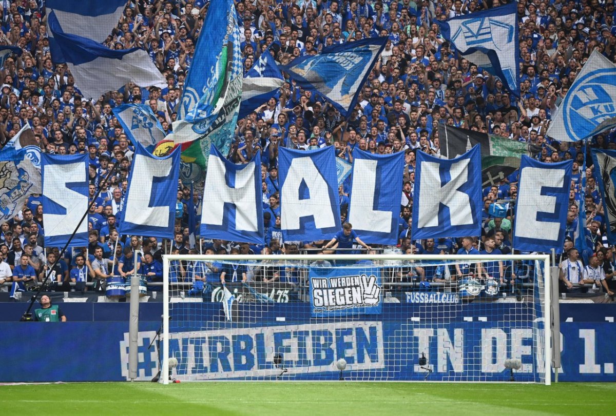 FC Schalke 04.jpg