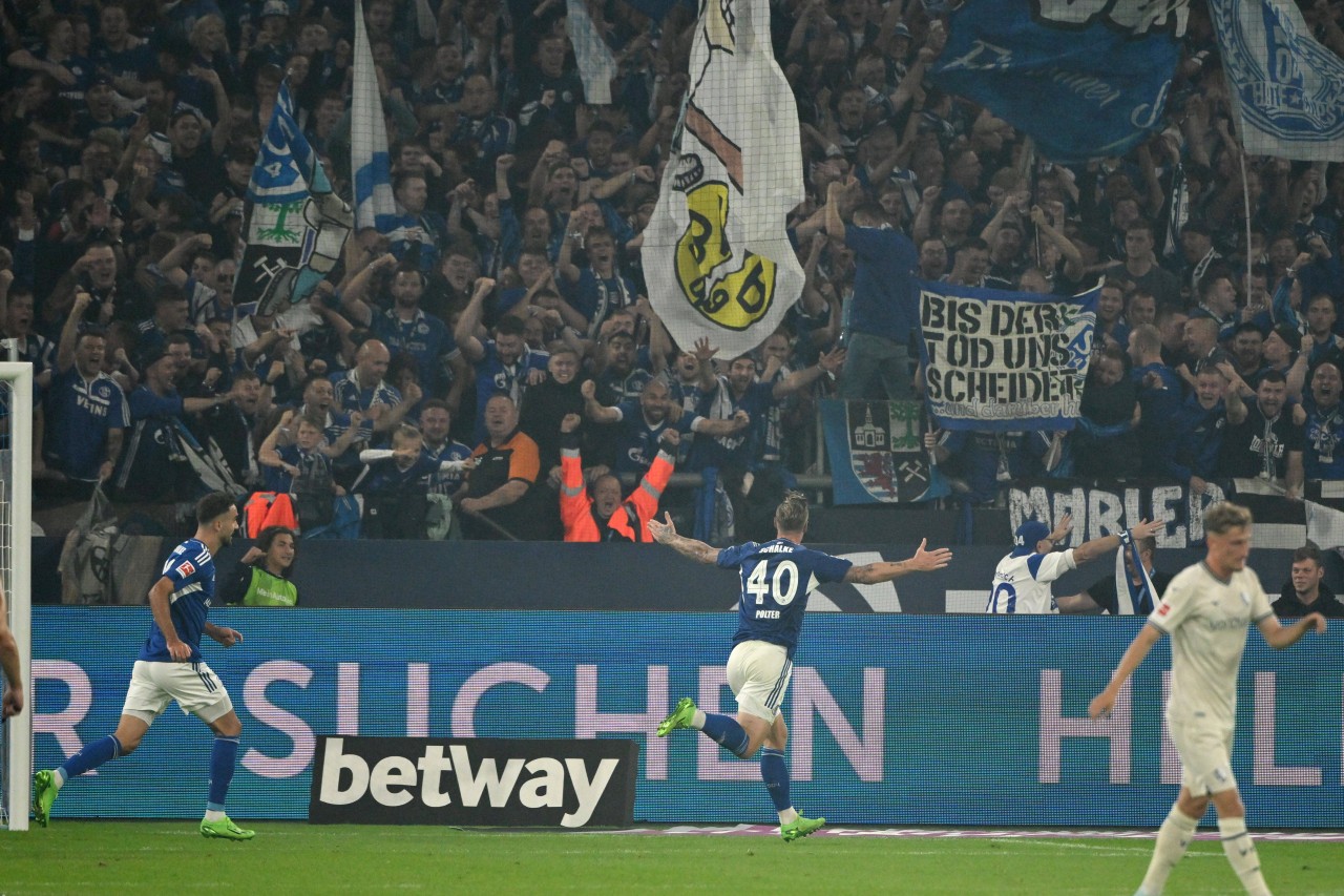 FC Schalke 04: Neuzugang Sebastian Polter traf gegen seinen Ex-Klub VfL Bochum.