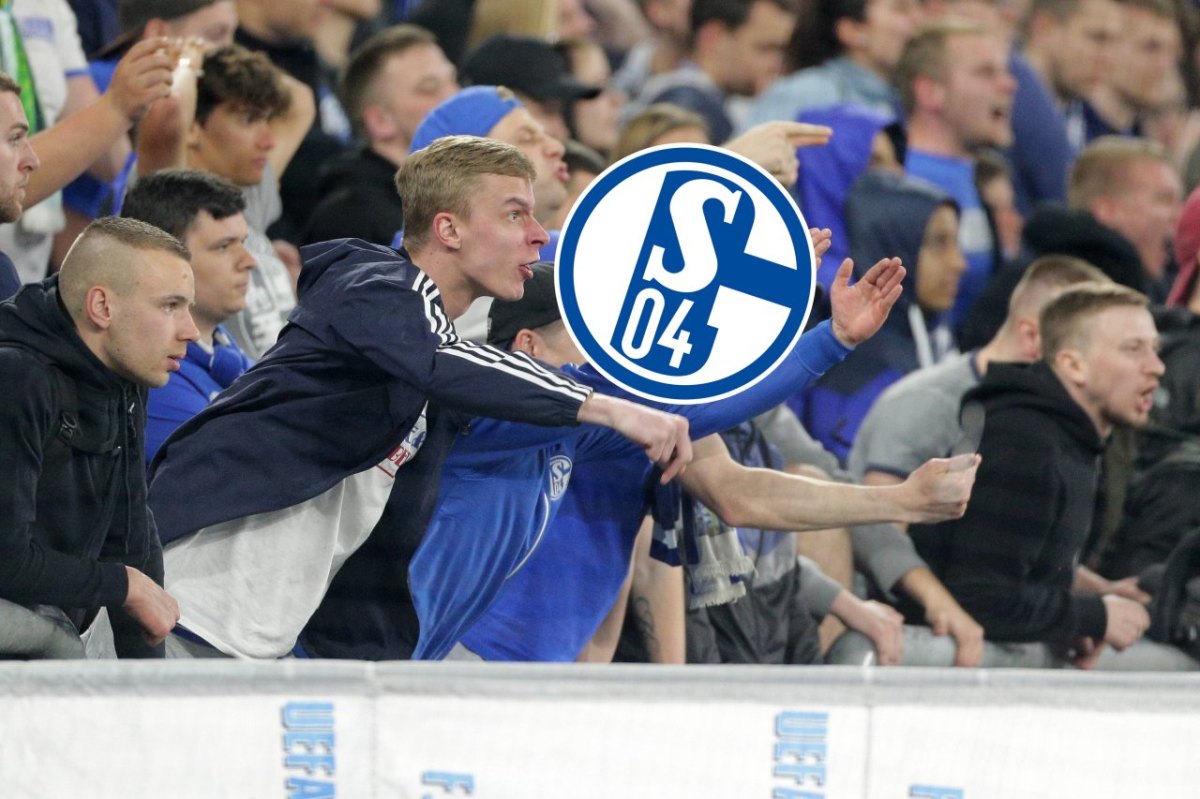 FC Schalke 04Fans Wut.jpg