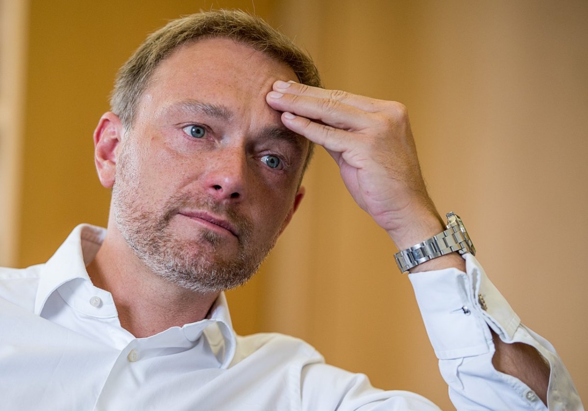 Lindner FDP Vorwurf Verschleierung