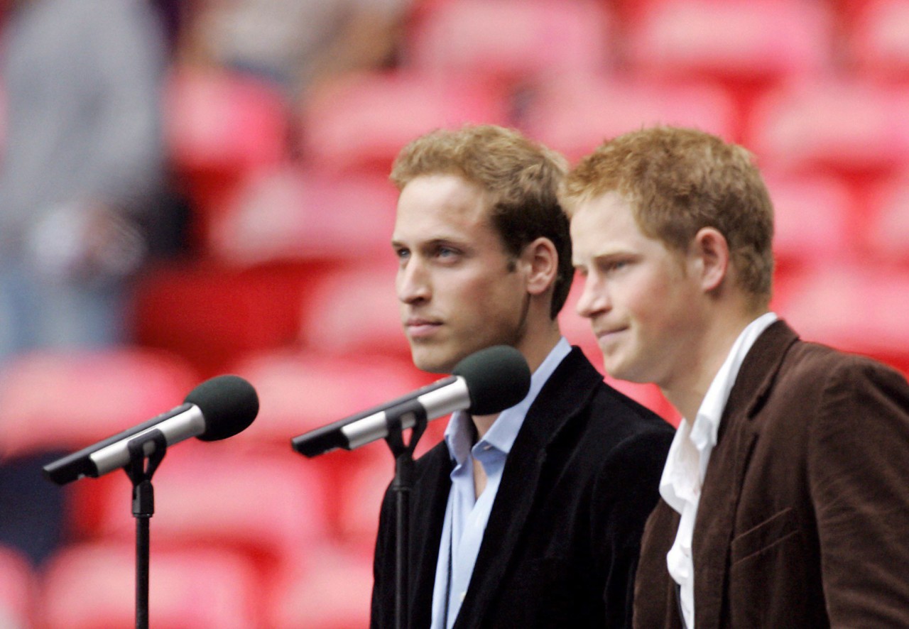 Prinz William und Prinz Harry organisierten 2007 ein Gedenkkonzert für ihre Mutter Diana mit den Lieblingsmusikern der Prinzessin.