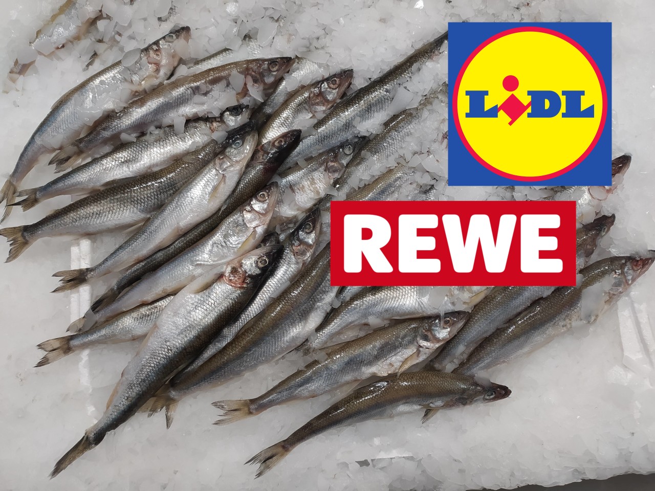 Fisch-Rückruf bei Lidl, Rewe und Co! (Symbolbild)