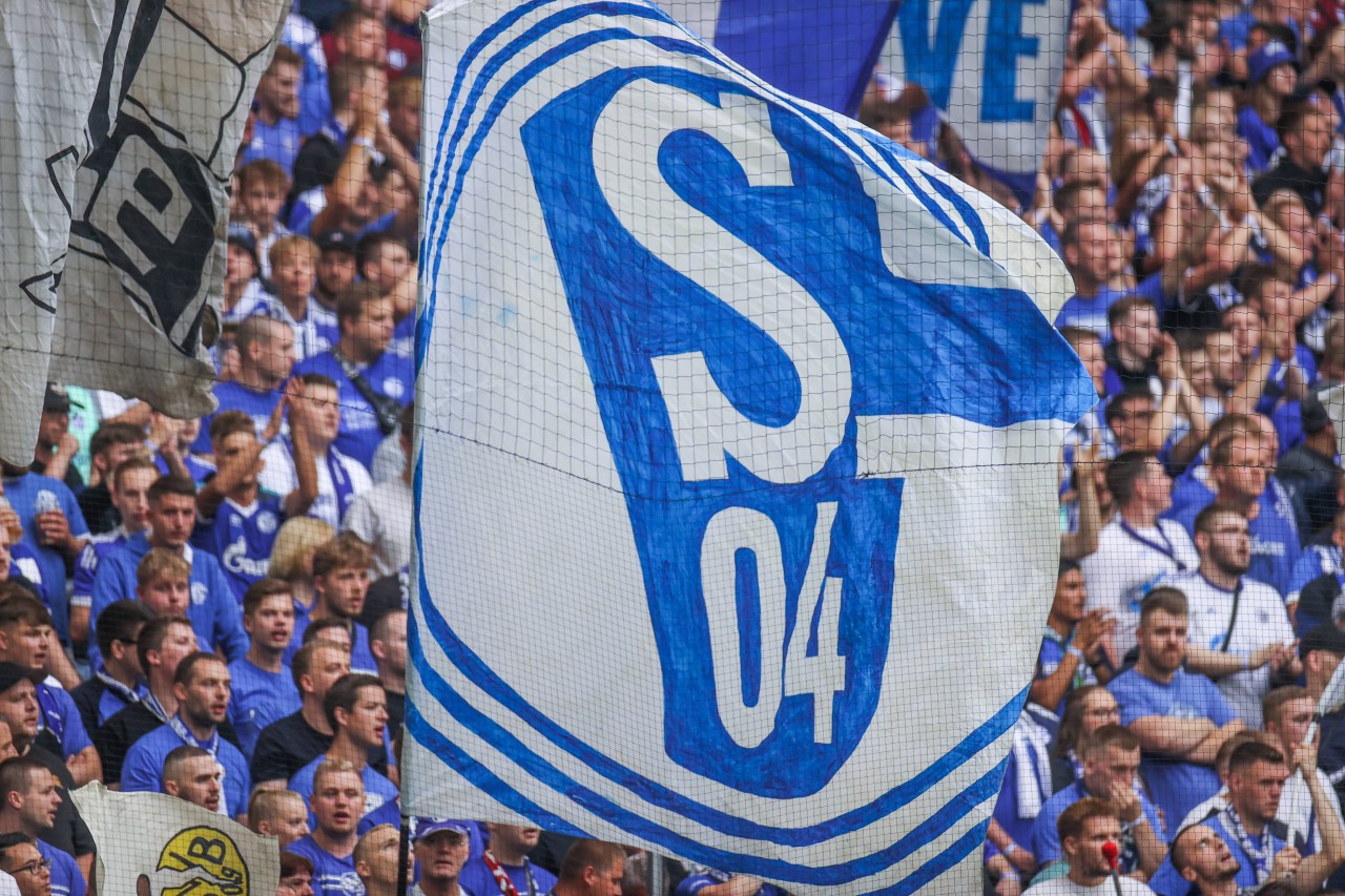 Schalke-Fans haben eine 20-Jährige sexuell belästigt. (Symbolbild)