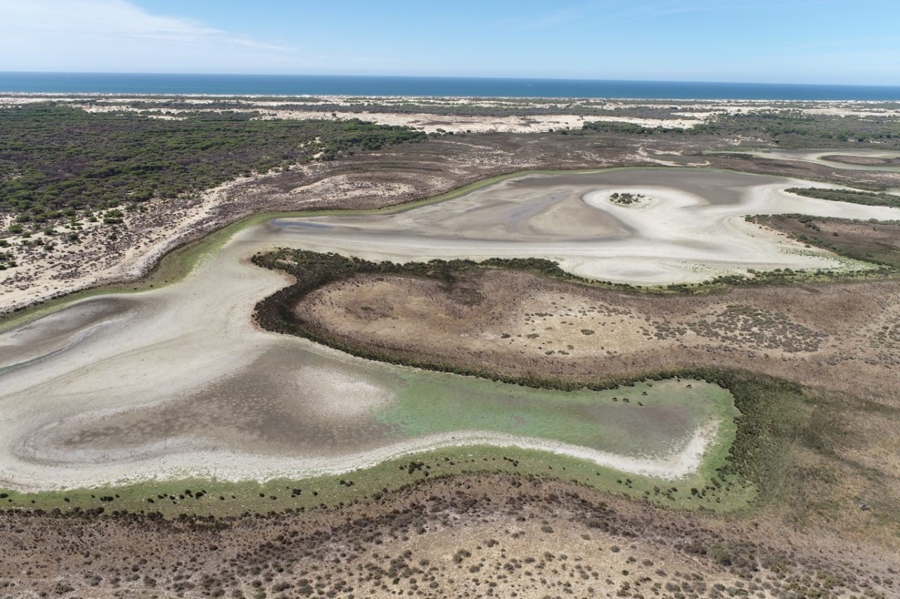 Urlaub in Spanien: Der Doñana-Nationalpark hat aktuell ein großes Problem. (Symbolbild)