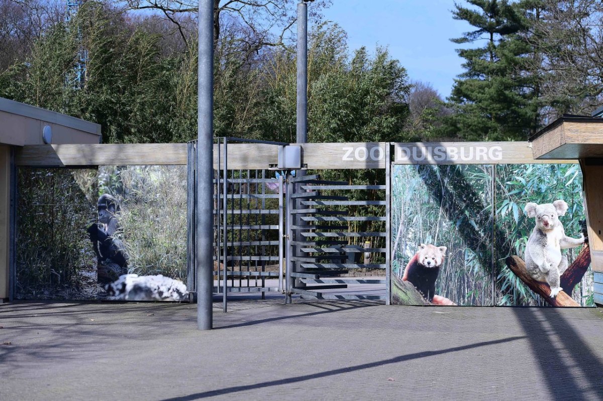 Zoo Duisburg.jpg