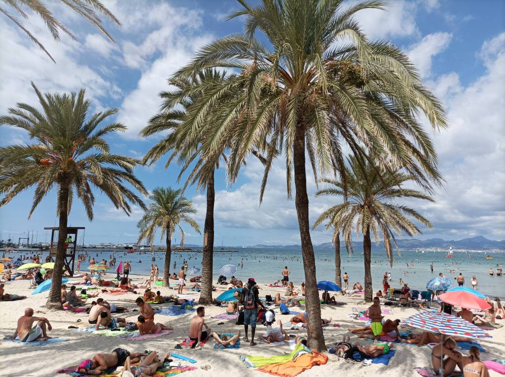 Auf einem Strand auf Mallorca tummeln sich Menschen unter Palmen.