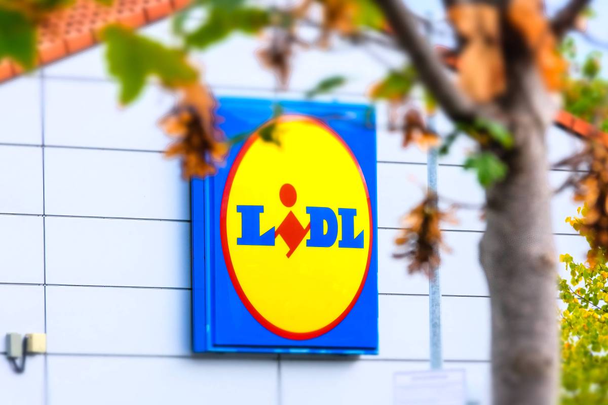 Das Lidl-Logo prangt leicht hinter einem Baum versteckt auf einer grauen Fassade.