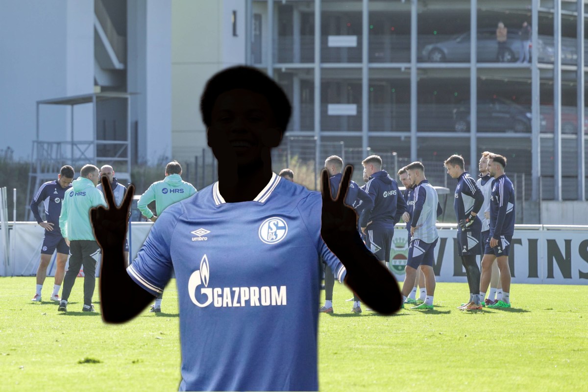 Weston McKennie besucht das Training des FC Schalke 04.
