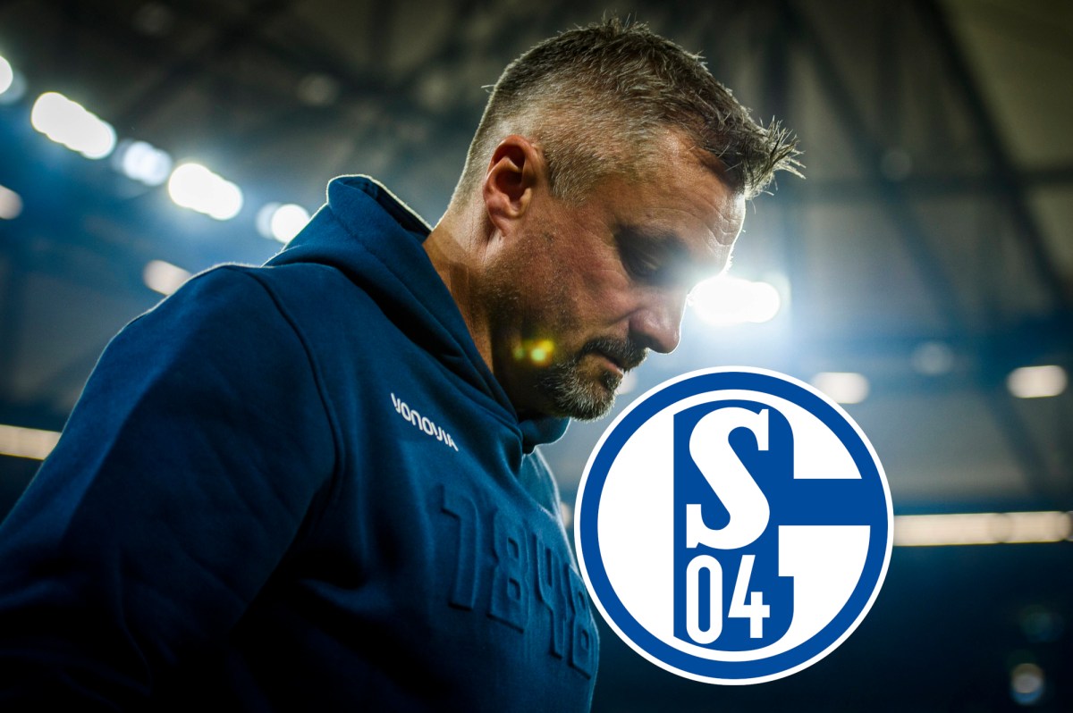 Niederlage auf Schalke: Bochum-Trainer Thomas Reis schaut bedrückt zu Boden.