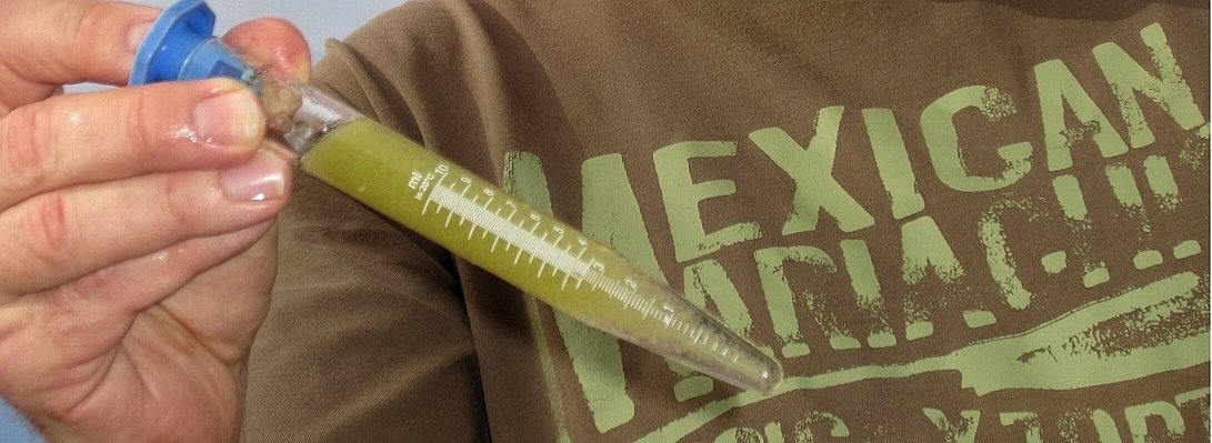 49988268--656x240.jpg