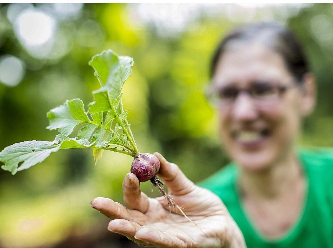 Ein Radieschen aus dem eigenen Garten - das schmeckt doch besser als das Gemüse aus dem Supermarkt.