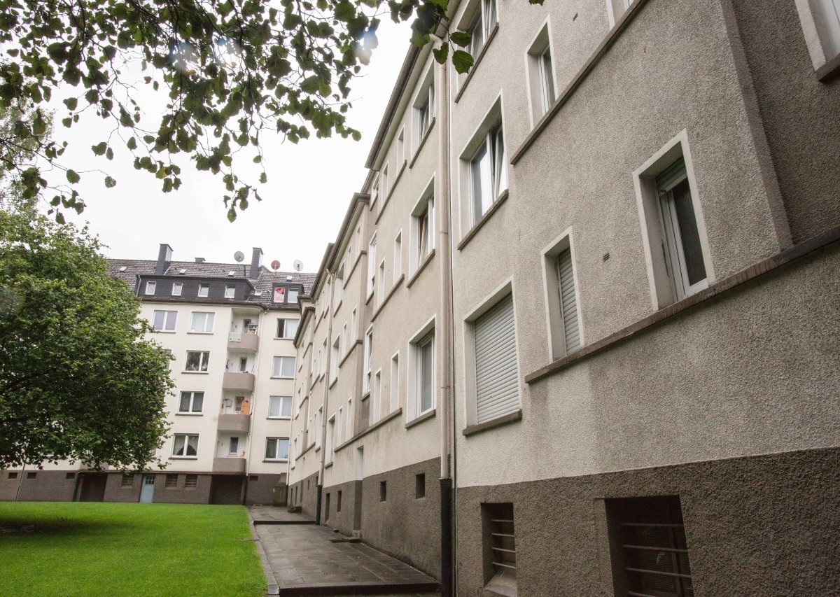 Allbau AG.jpg