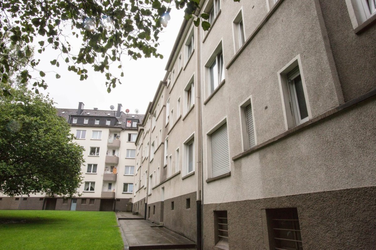 Allbau AG.jpg
