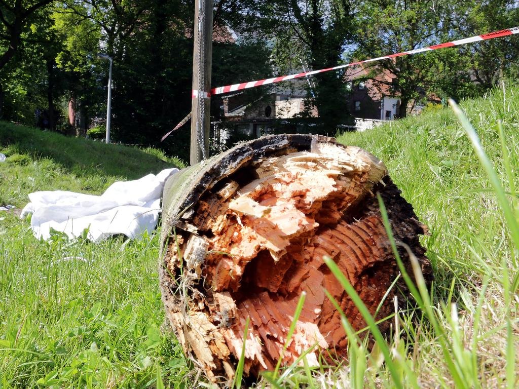 Bild Ruhrnachrichten