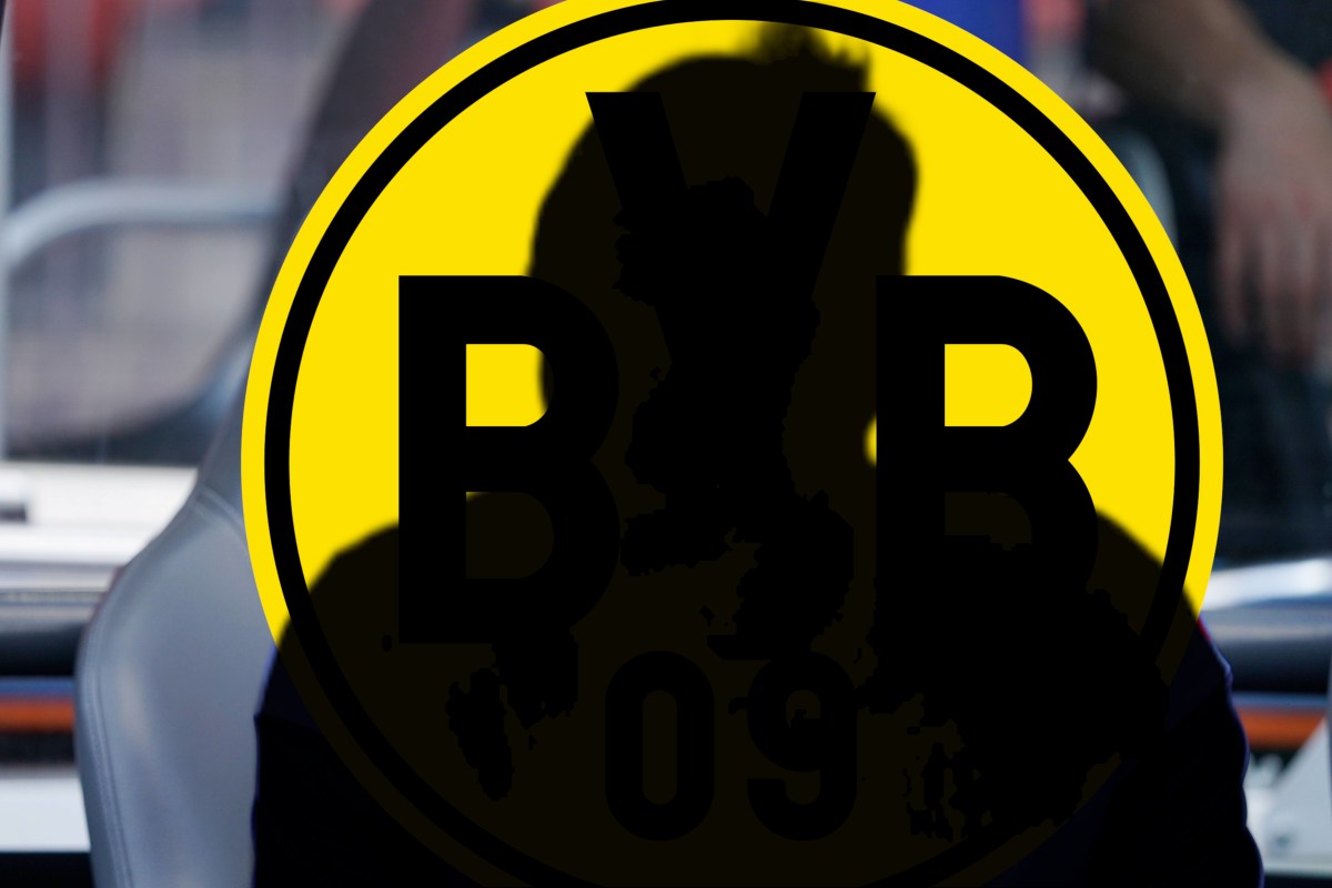 Borussia Dortmund Bradley Fink.jpg